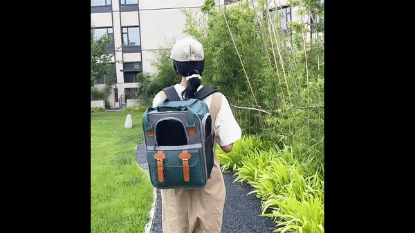 204_0000004462_d01.gif
